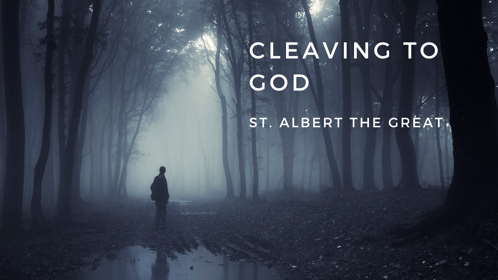 Cleaving to God by St. Albert the Great